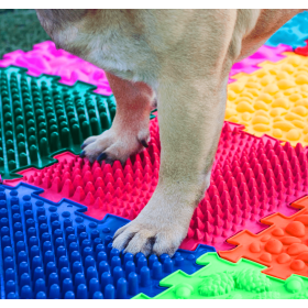 10 elemből álló Puzzle Mix szenzoros ortopédiai szőnyeg kutyáknak 10 elemből álló Puzzle Mix szenzoros ortopédiai szőnyeg kutyáknak