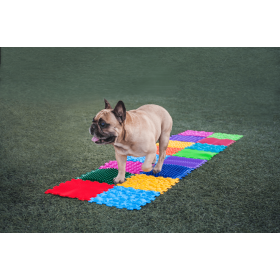 Szenzoros szőnyeg 14 elemből álló Mega Mix puzzle kutyáknak Szenzoros szőnyeg 14 elemből álló Mega Mix puzzle kutyáknak